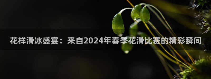 nba免费直播在线直播绿茵：花样滑冰盛宴：来自2024年春季花滑比赛的精彩瞬间