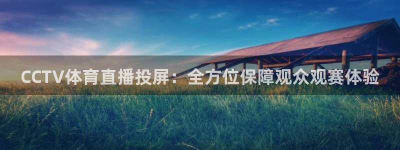 球球看绿茵：CCTV体育直播投屏：全方位保障观众观赛体验