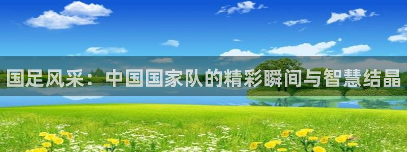 绿茵直播免费观看比赛：国足风采：中国国家队的精彩瞬间与智慧结晶