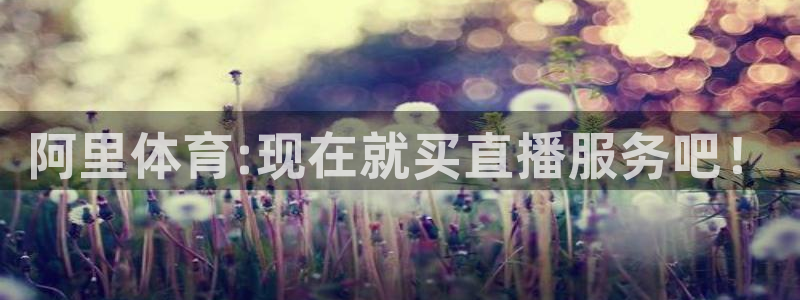 绿茵足球免费观看入口：阿里体育:现在就买直播服务吧！