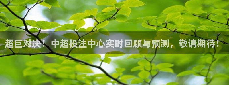 绿茵体育在线观看：超巨对决！中超投注中心实时回顾与预测，敬请期待！