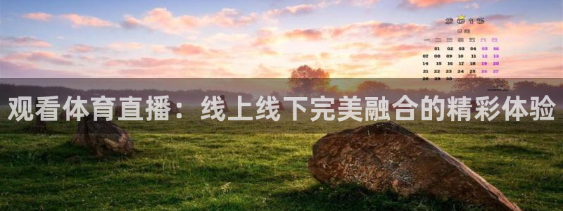 绿茵直播cba：观看体育直播：线上线下完美融合的精彩体验