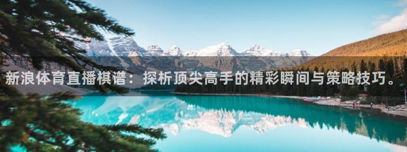 绿茵直播足球直播：新浪体育直播棋谱：探析顶尖高手的精彩瞬间与策略技巧。