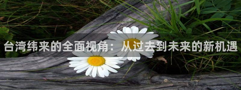 绿茵直播体育免费观看lyzb：台湾纬来的全面视角：从过去到未来的新机遇