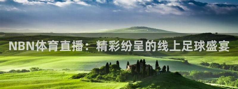 绿茵体育直播：NBN体育直播：精彩纷呈的线上足球盛宴