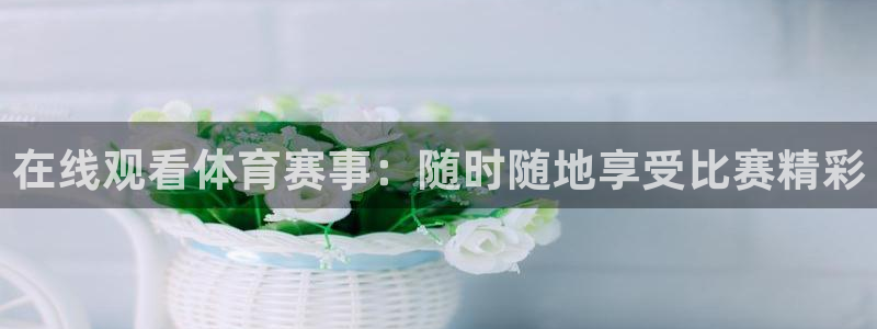 绿茵体育免费观看：在线观看体育赛事：随时随地享受比赛精彩